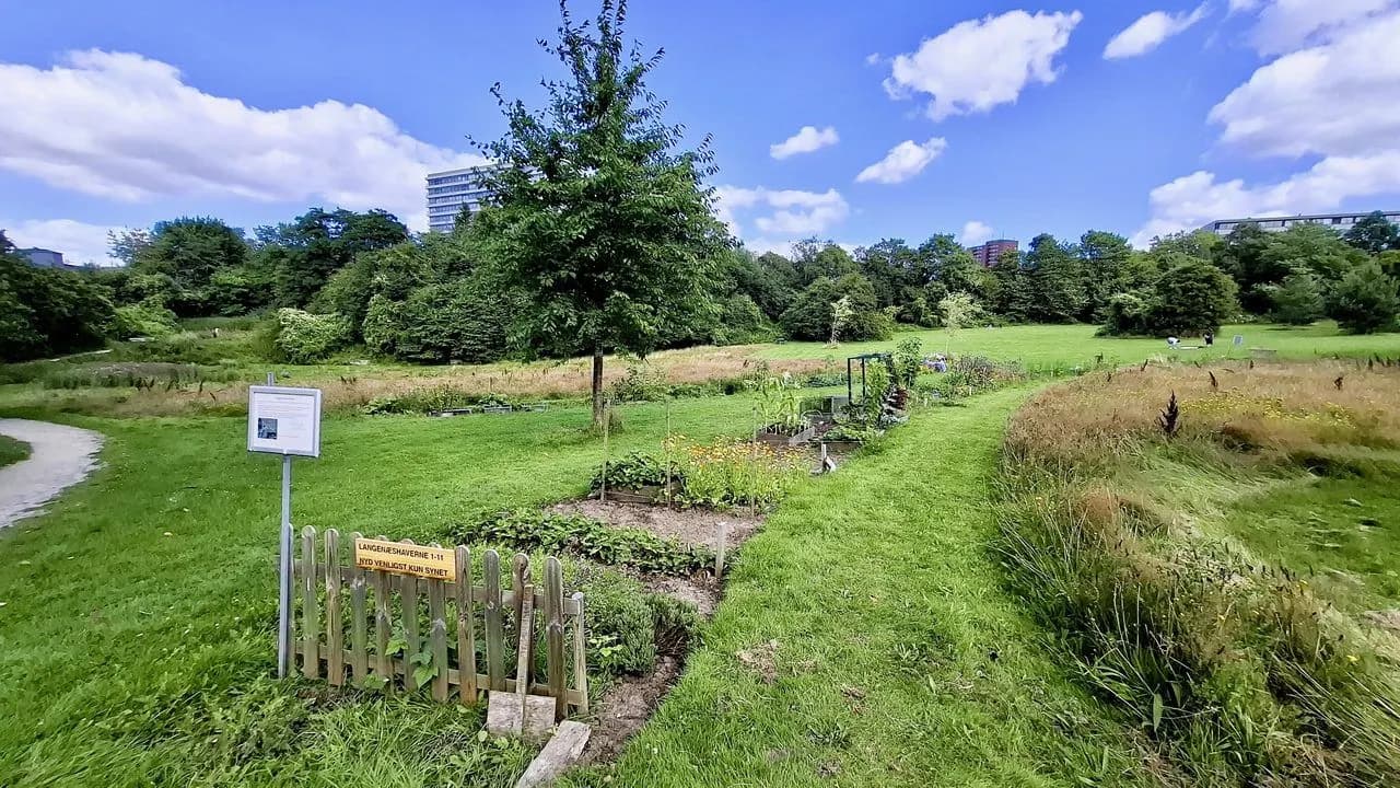 Community garden plots with vegetable beds on a green urban site