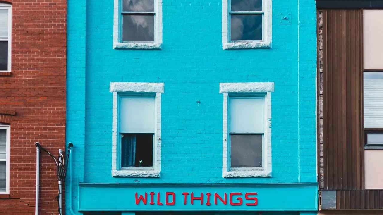 Turquoise-painted brick retail building with a red 'WILD THINGS' shop sign above the storefront.